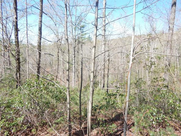 0 Furman Drive, Hendersonville, NC 28739